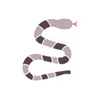 Cottonmouth (Water Moccasin) Snake name in English