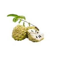 Custard Apple Fruit Name in English