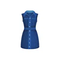 Denim Type of Dress for Women in English