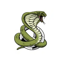 Desert Horned Viper Snake name in English