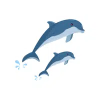 Dolphin | Basic Vocabulary Words for Kids