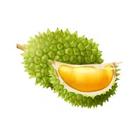 Durian Fruit Name in English