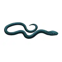 Eastern Indigo Snake name in English