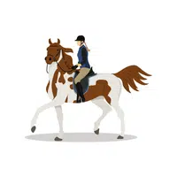 Equestrian Sport name in English