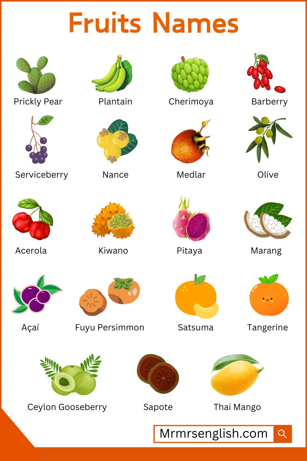 Fruits name in English