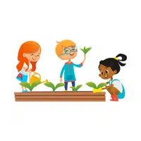 Gardening Activity for Kids in School