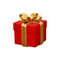 Gift | Basic Vocabulary Words for Kids