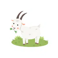 Goat | Basic Vocabulary Words for Kids