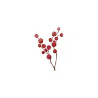 Goumi Berry red fruit Name in English