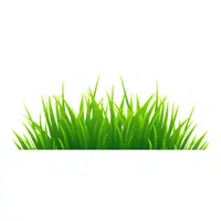 Grass Word for Kids