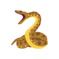 Green Anaconda Snake name in English