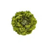 Peony green flower name