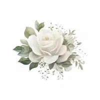 Green Rose | Green Flowers Names in English