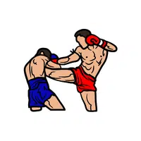 Kickboxing Sport name in English