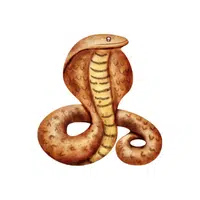King Cobra | Snakes names in English