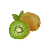 Kiwi Fruit Name in English