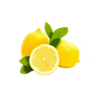 Lemon Vocabulary Word for Kids