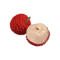 Lychee Fruit Name in English