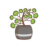 Maidenhair Fern Indoor Plant name in English