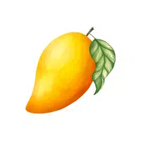 Mango Fruit Name in English