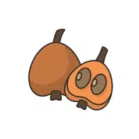 Medlar Fruit Name in English