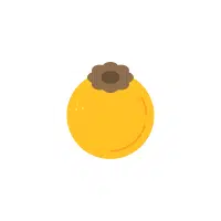 Nance red fruit Name in English