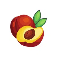 Nectarine Fruit Name in English