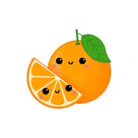 Orange Vocabulary Word for Kids