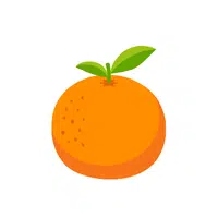 Orange | Fruits Name in English