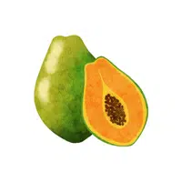 Papaya Fruit Name in English