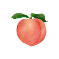 Peach | Fruits Names in English