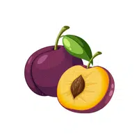 Plum | Fruits Names in English