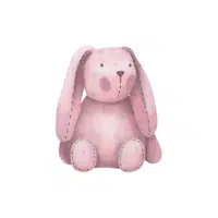 Plush Bunny | Kids Toys names in English