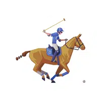Polo Sport name in English