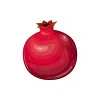 Pomegranate | Fruits Names in English