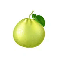 Pomelo | Fruits Names in English