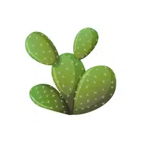 Prickly Pear | Fruits Names in English