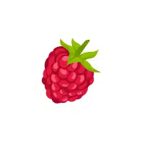 Raspberry Red fruit Name in English