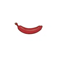 Red Banana Name in English