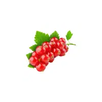 Red Currant Red fruit Name in English