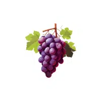 Red Grapes | Red Fruits Names in English