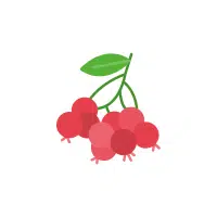 Red Huckleberry | Red Fruits Names in English