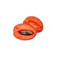 Red Mamey | Red Fruits Names in English