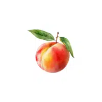 Red Peach | Red Fruits Names in English