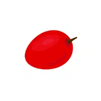 Red Tamarillo | Red Fruits Names in English