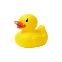 Rubber Duck | Kids Toys names in English