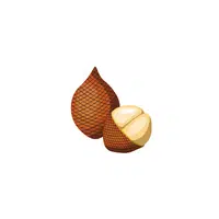 Salak (Snake Fruit) | Red Fruits Names in English