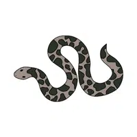Sand Boa | Snakes names in English