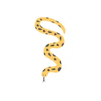 Sea Krait | Snakes names in English