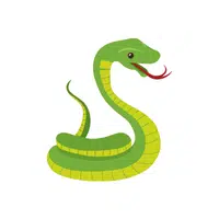 Smooth Green Snake | Snakes names in English
